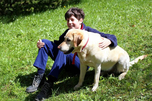 best dog breed for autism