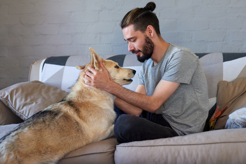 comfort animals are commonly prescribed to those with a mental illness comfort animals are commonly prescribed to those with a mental illness