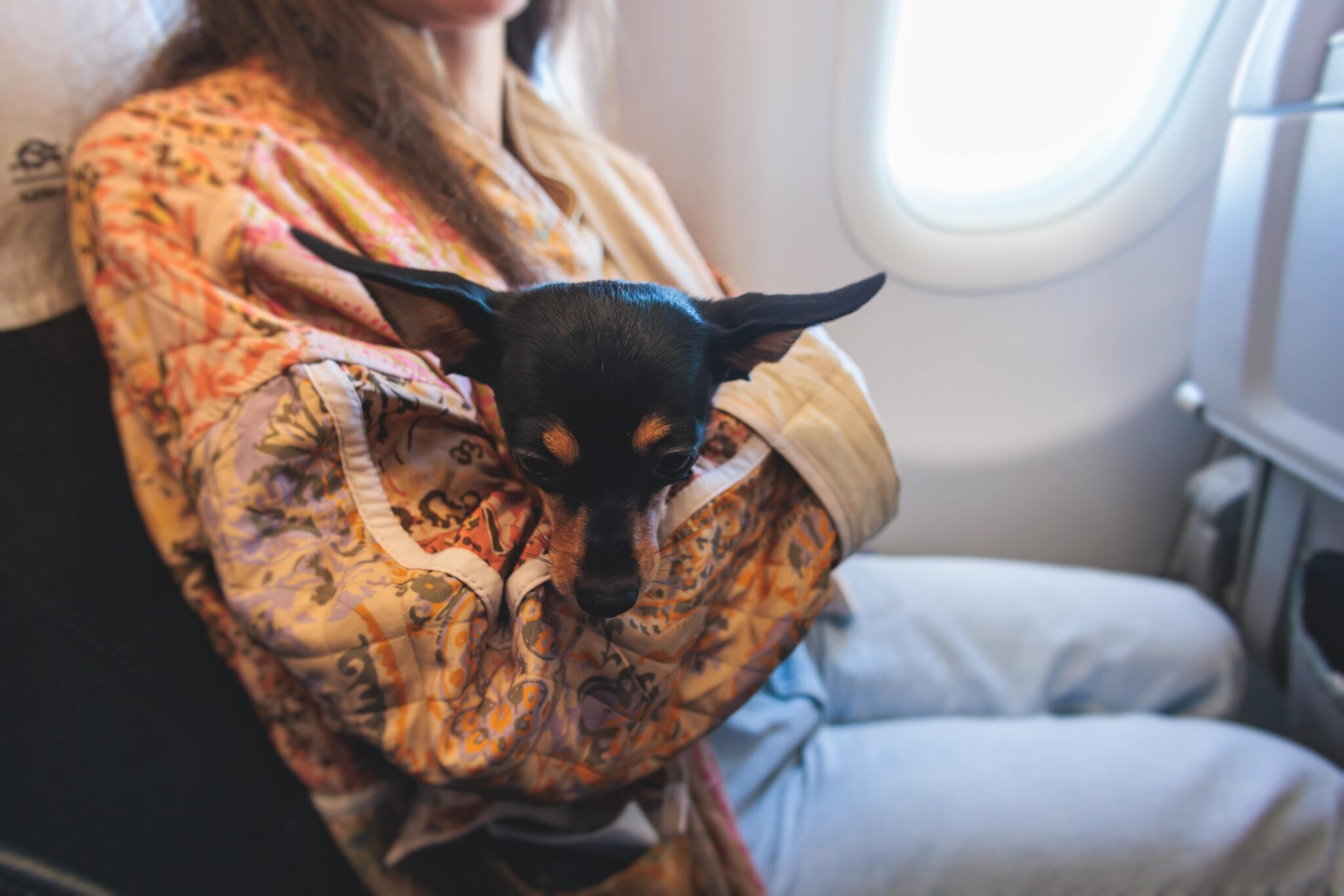 Delta Emotional Support Animal Rights-2048x1366
