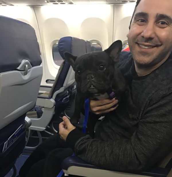 dog-in-airplane Emotional Support Animal owner with his dog at the plane