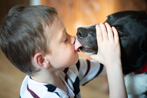 dogs for kids with autism