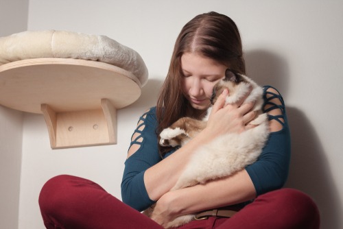 emotional support animal doctor