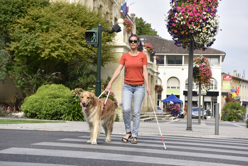 emotional support animal in idaho