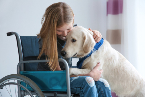 emotional support animal utah emotional support animal utah