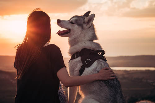 emotional support dog in ohio