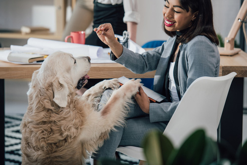 emotional support dog michigan
