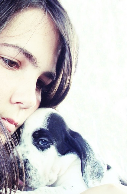 how to adopt an emotional support dog how to adopt an emotional support dog