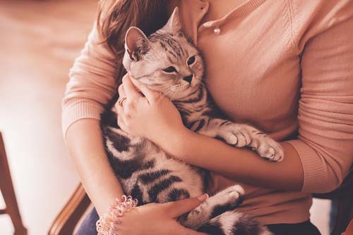 how to get an emotional support animal in texas