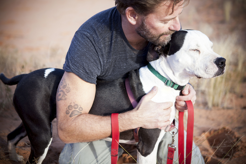 how to get an emotional support animal how to get an emotional support animal