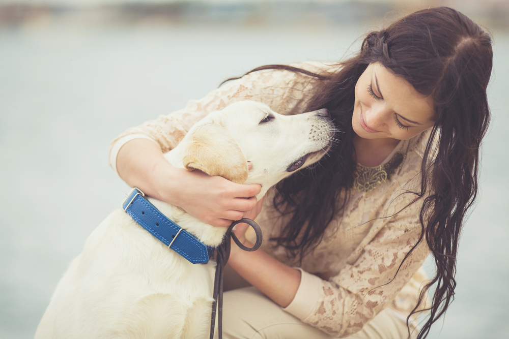 legitimate emotional support animal registration legitimate emotional support animal registration