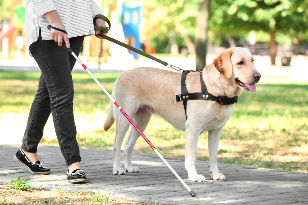 service animals have federally protected rights service animals have federally protected rights