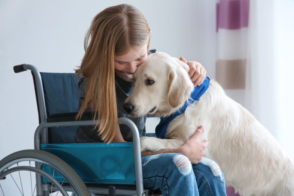 service dog that helps with anxiety