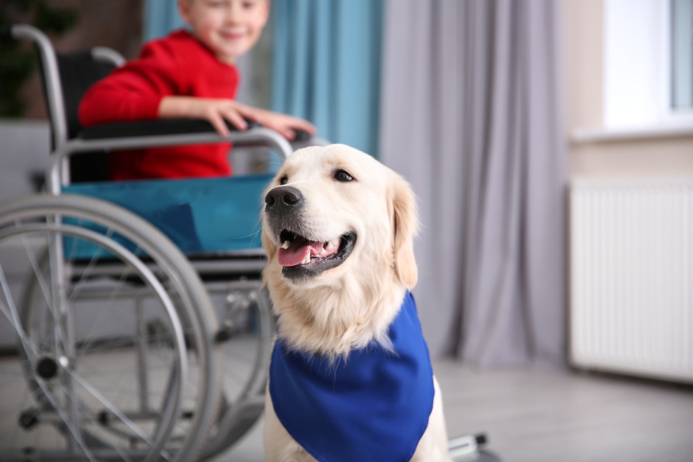service dog for mental illness