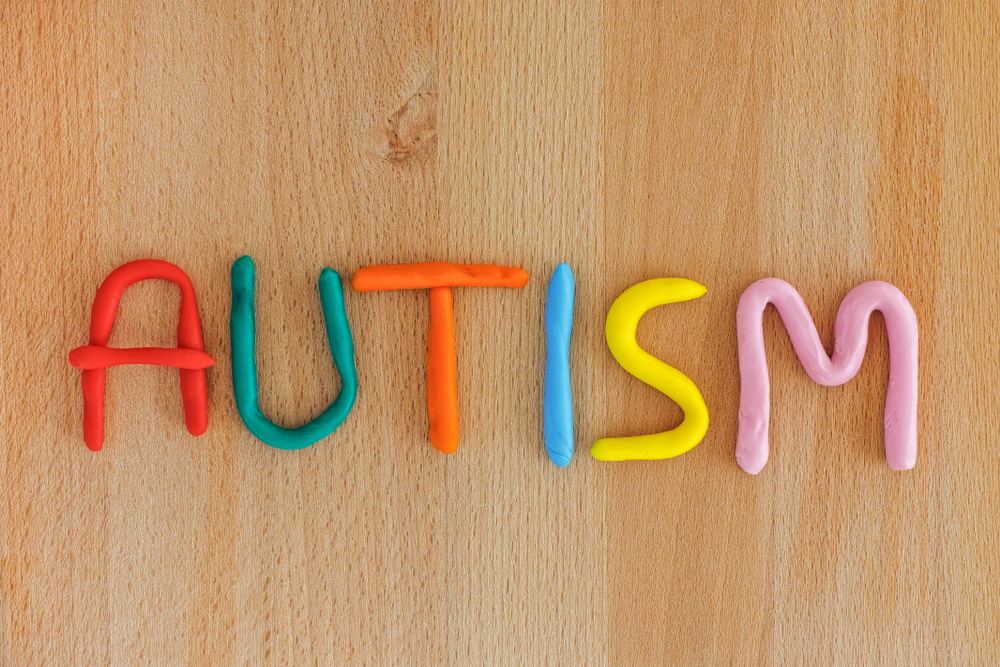 service dog for autism