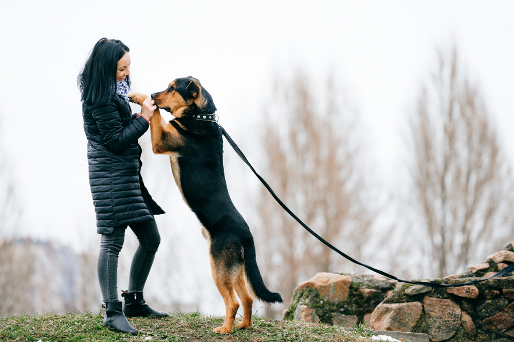 service dog for individuals with OCD