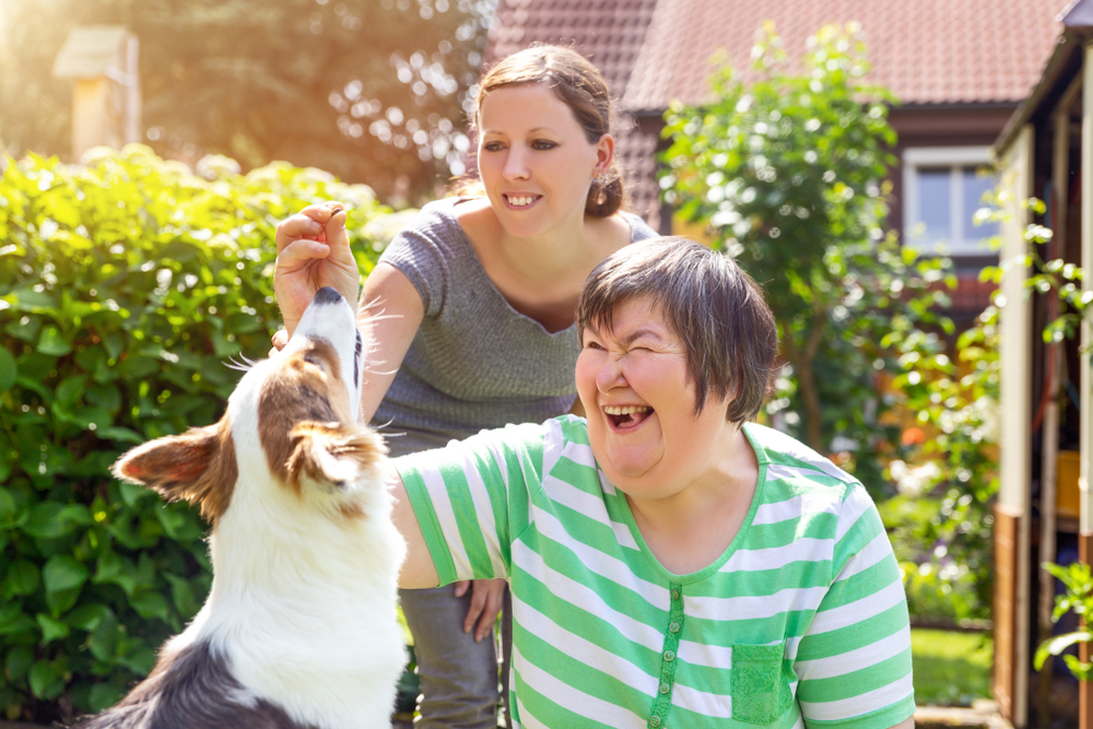 service dog for bipolar