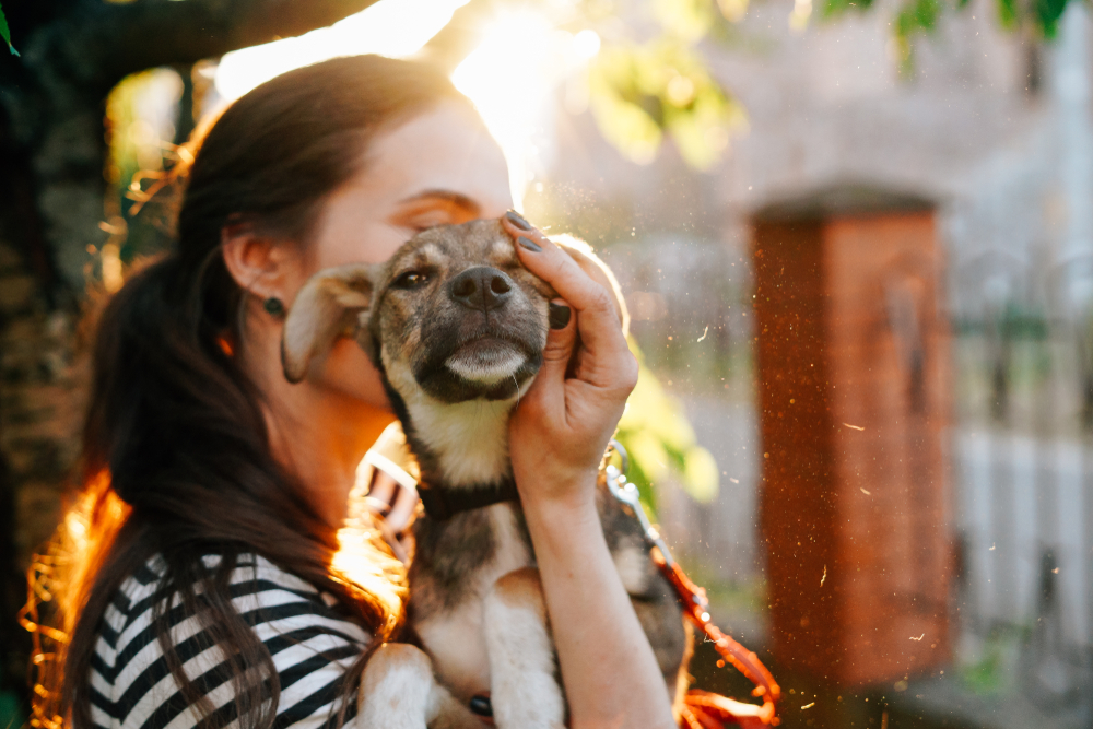 adopting service dog for stress