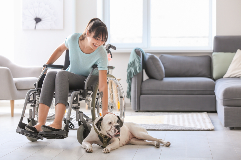 service dog for individuals with autism