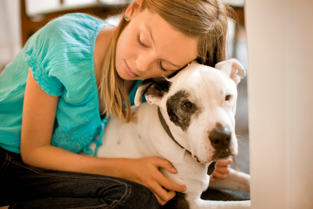 service dog support for anxiety