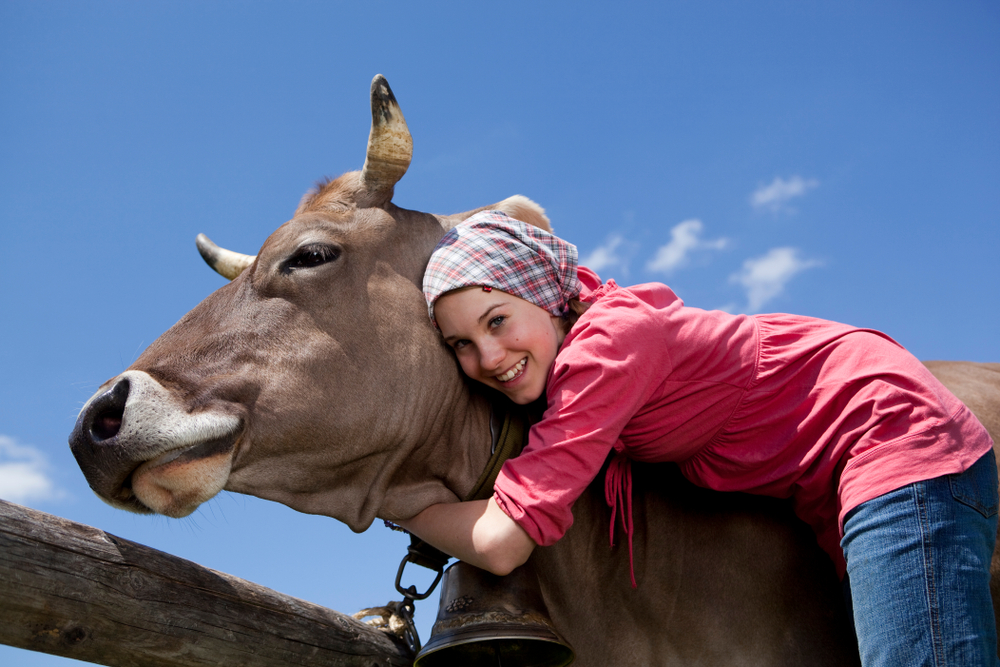 cow hugging