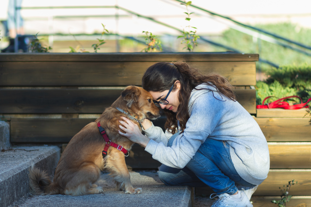 service dog training in Orlando