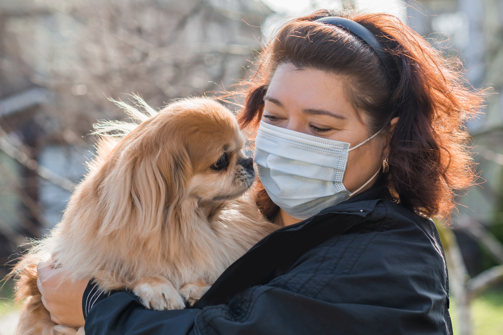 service dog for medical alert