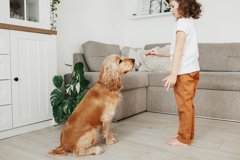 aspergers service dog training