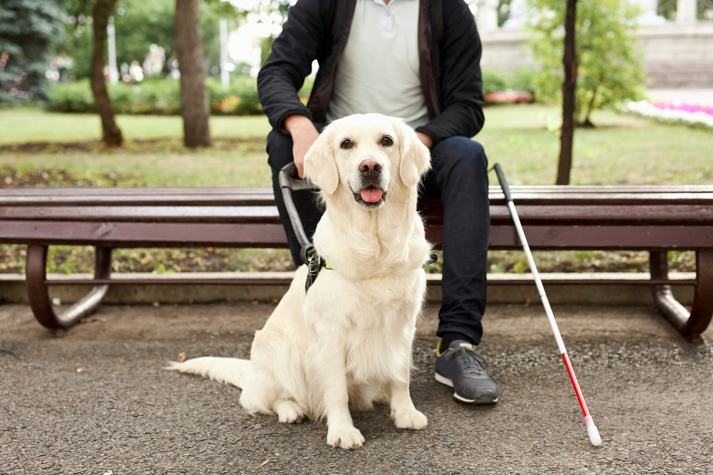 psychiatric service dog Florida