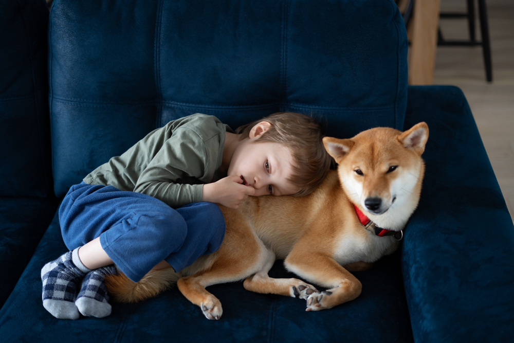 service dog for aspergers