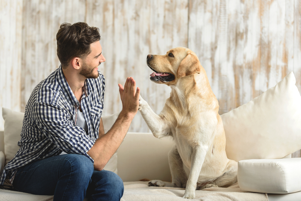 oregon psychiatric service dog