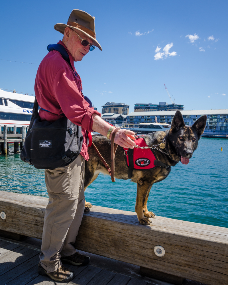 adopting service dog for mental illness