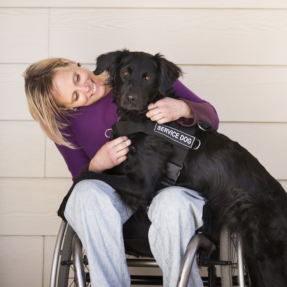 service dog for person with stress