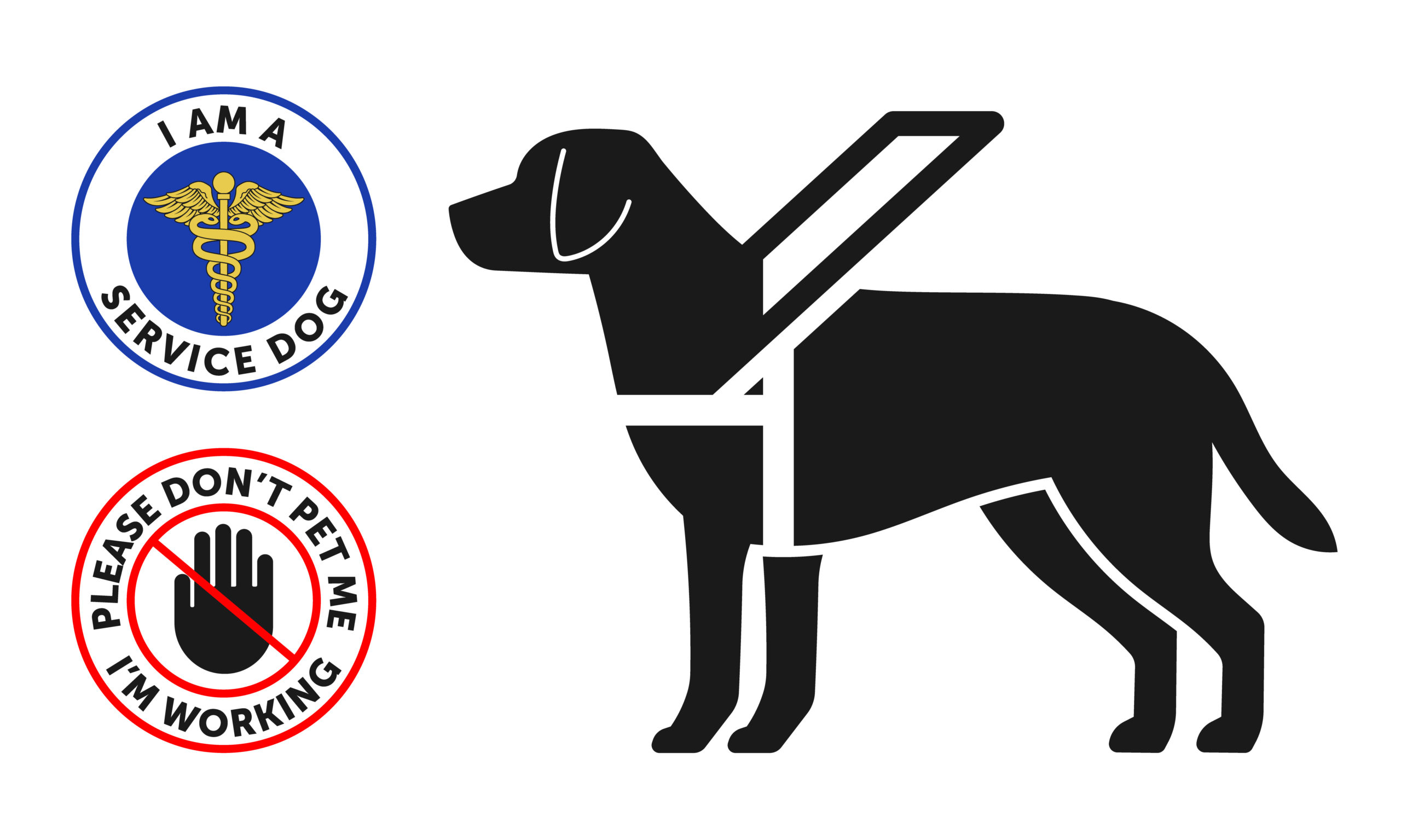 service dog trained for autism