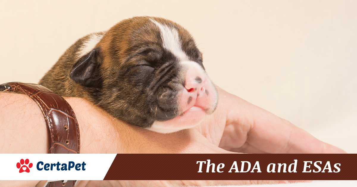 ada-and-esas-2 newborn puppy