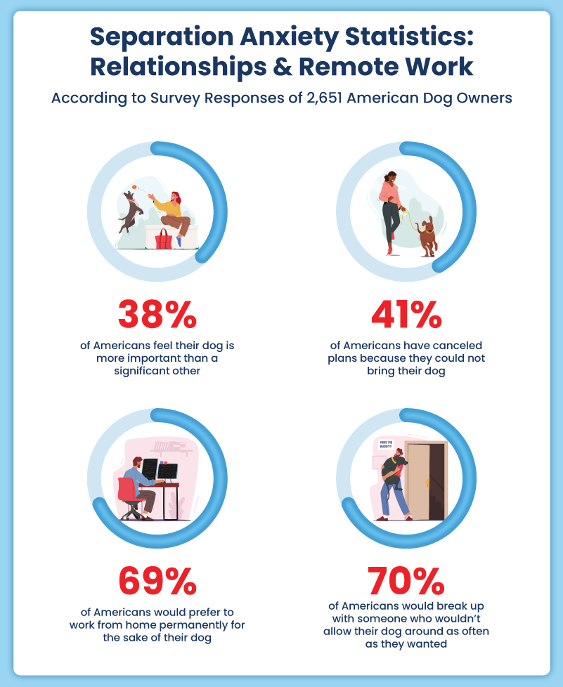 Infographic displaying dog owner separation anxiety statistics
